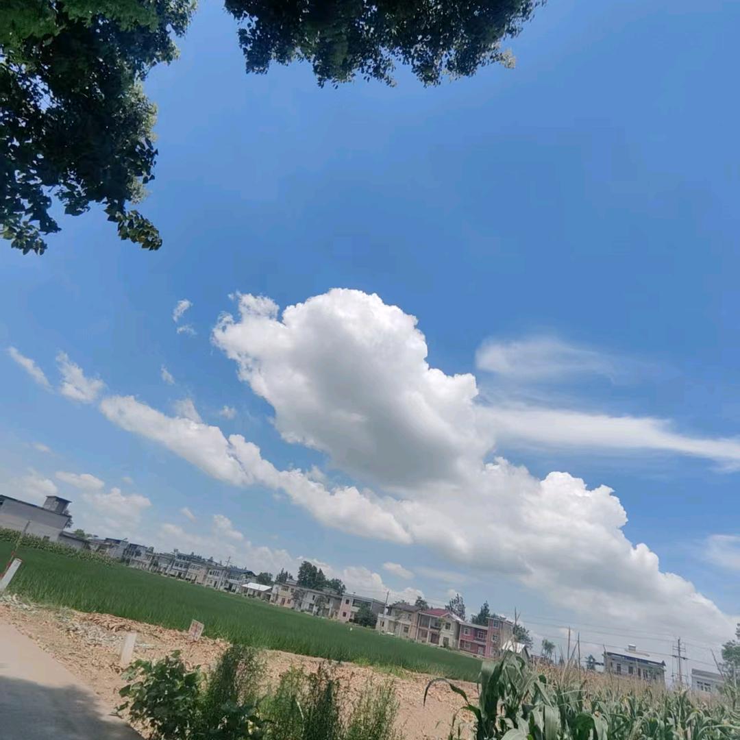 西柚粉爱故事