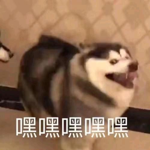凯子乐
