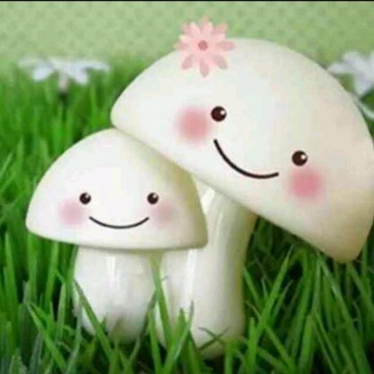 h天天