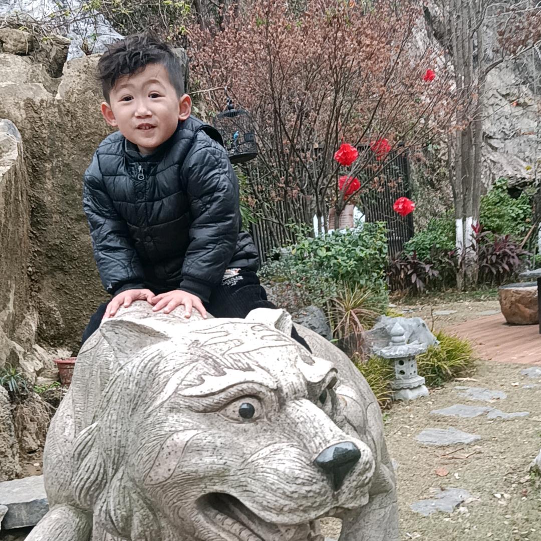 汤氐家族老五