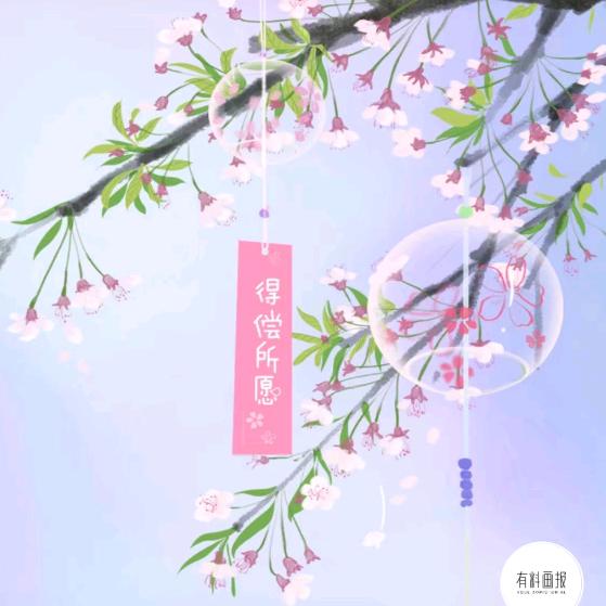 考拉🌸🌸