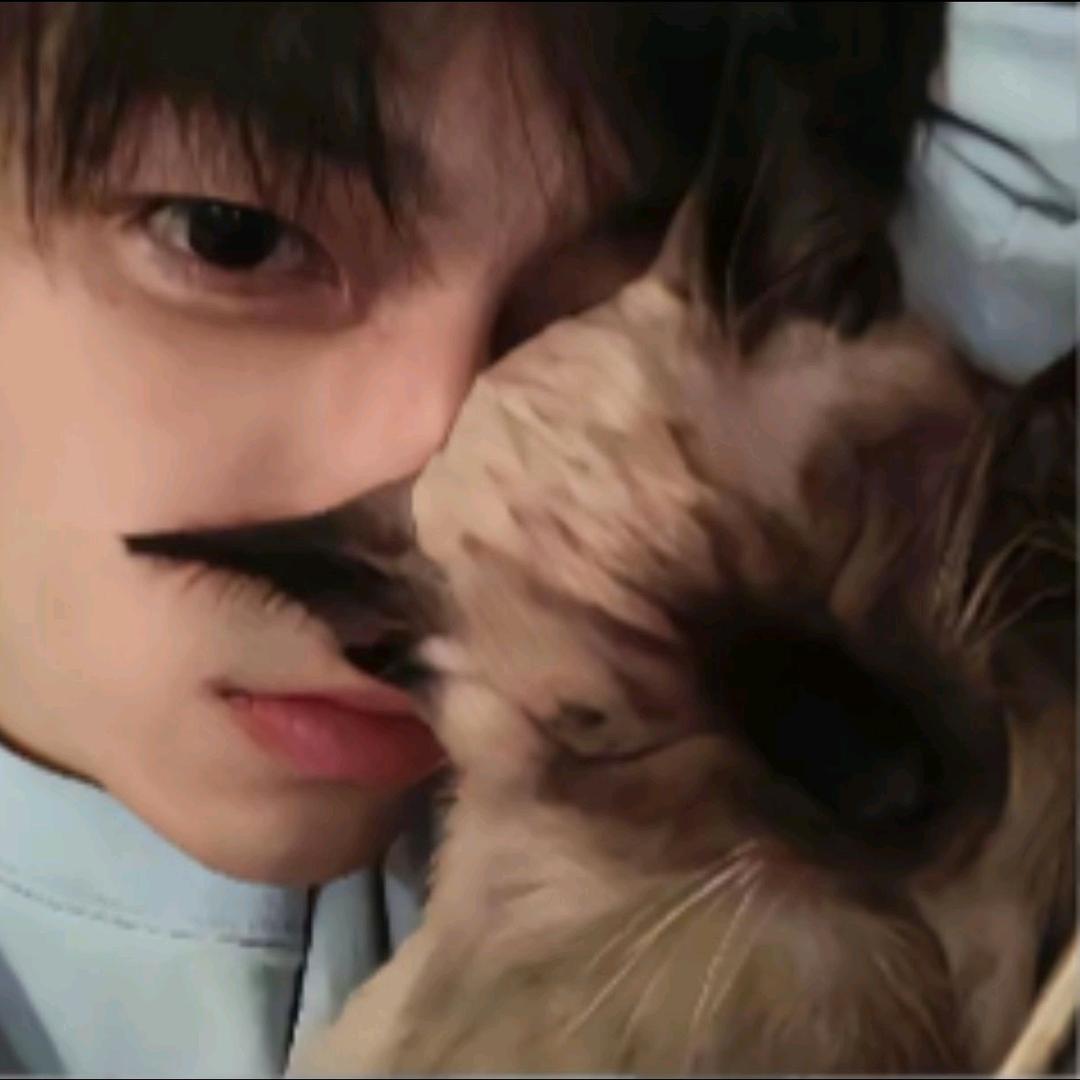 日落时kiss me