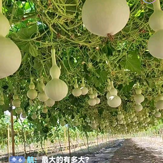 王宁！