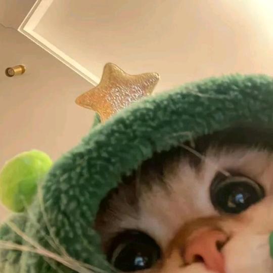 柔柔很温柔@抖音