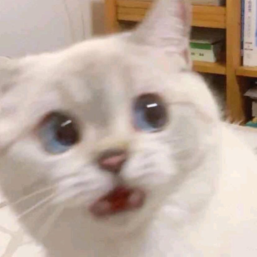 小尹丶