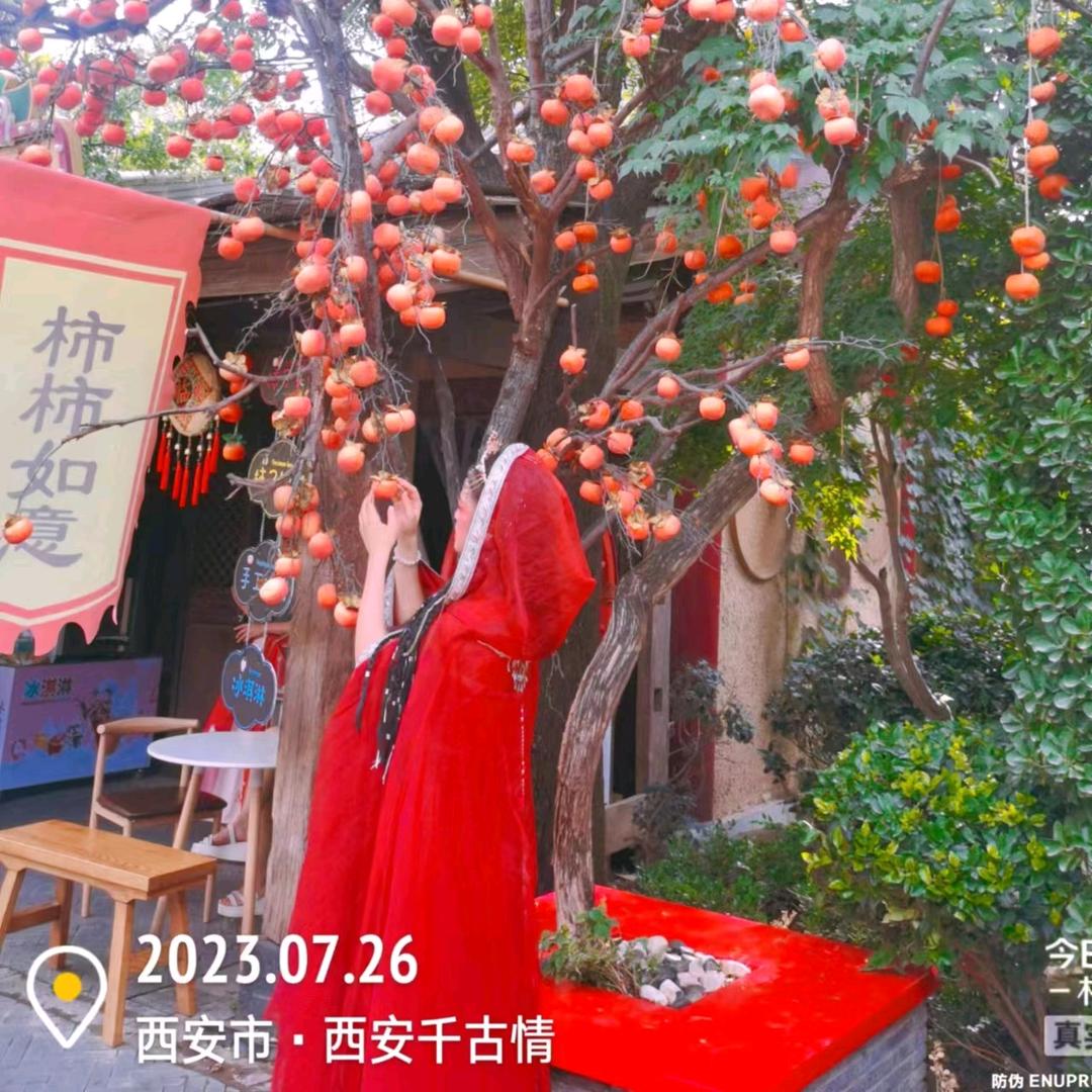 丁丁和竹子
