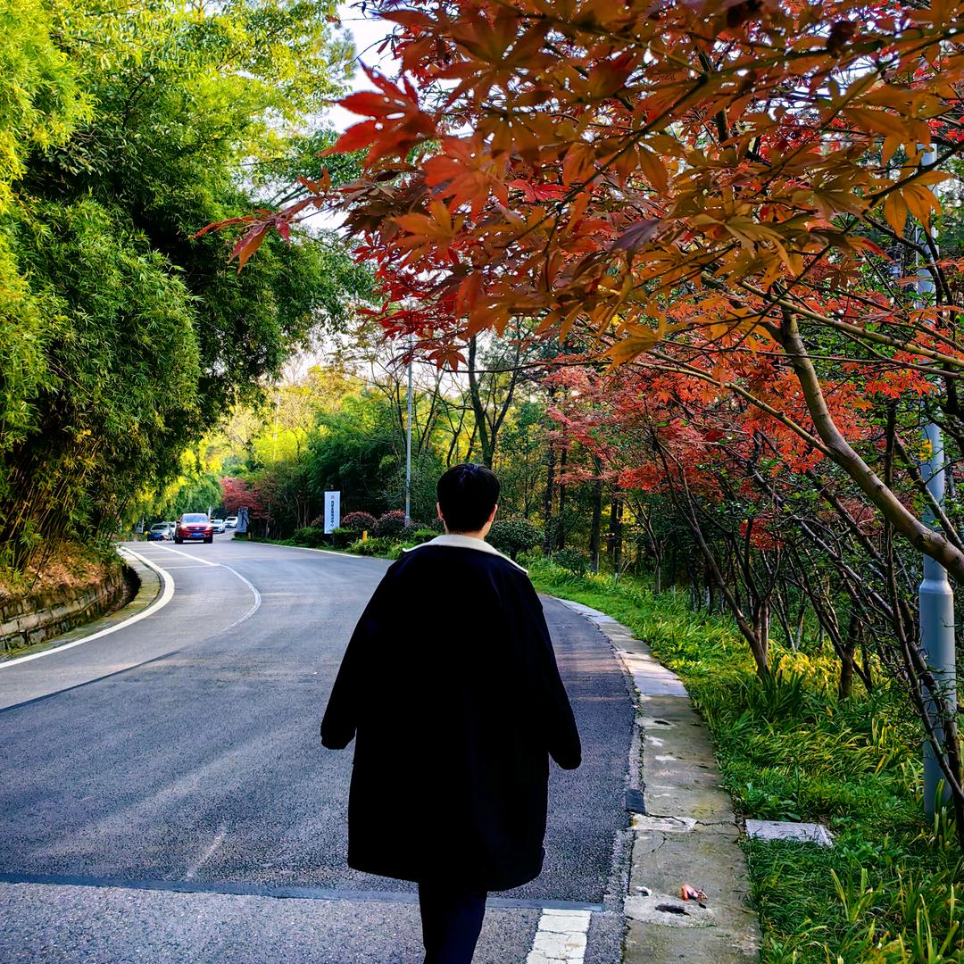 清顾晨凉325