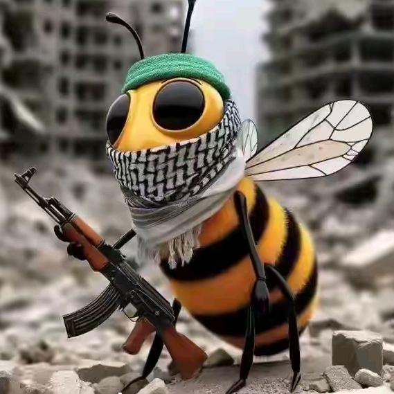 今天是个特别的日子