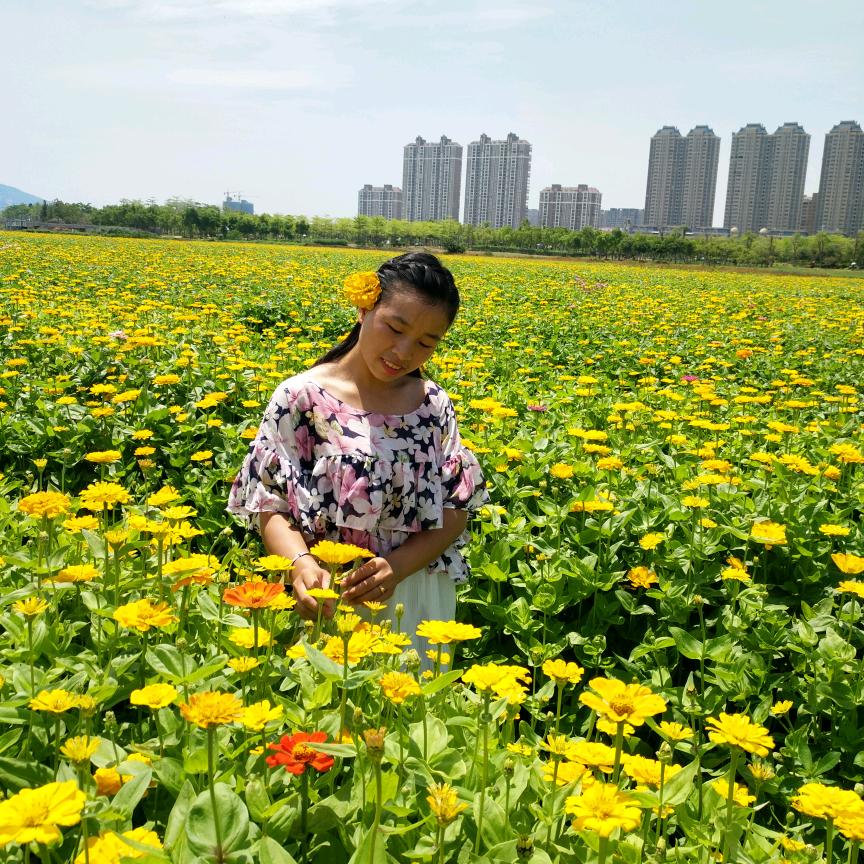 我是萍萍仔
