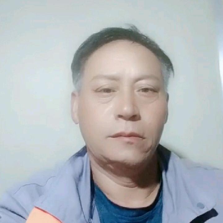 我是秋风落叶，我在大树下