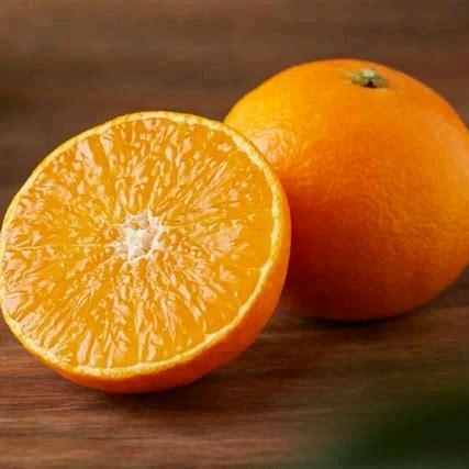 上等混子，专业躺赢