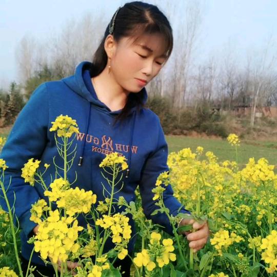 人生如梦