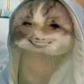 揽你入怀胜之天下