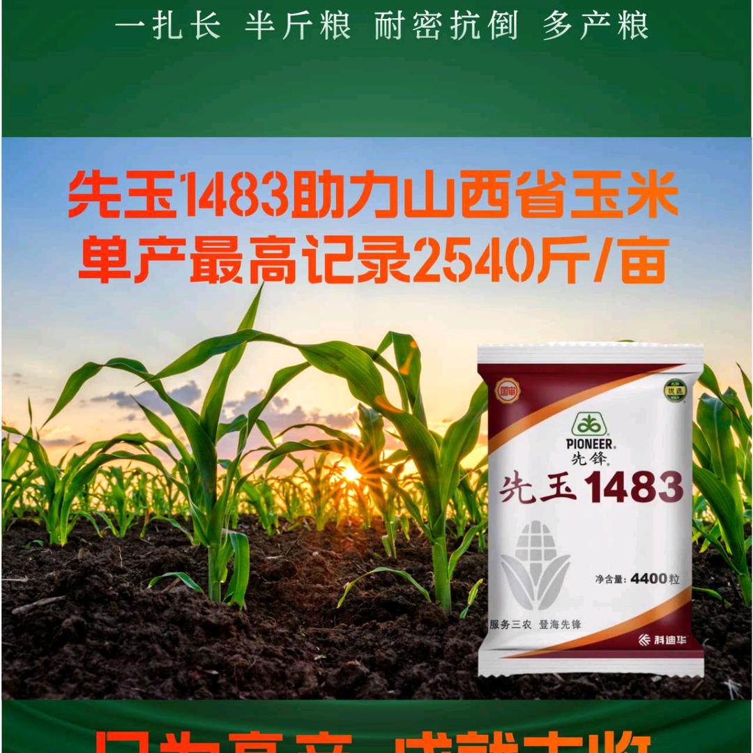 北董段景农资