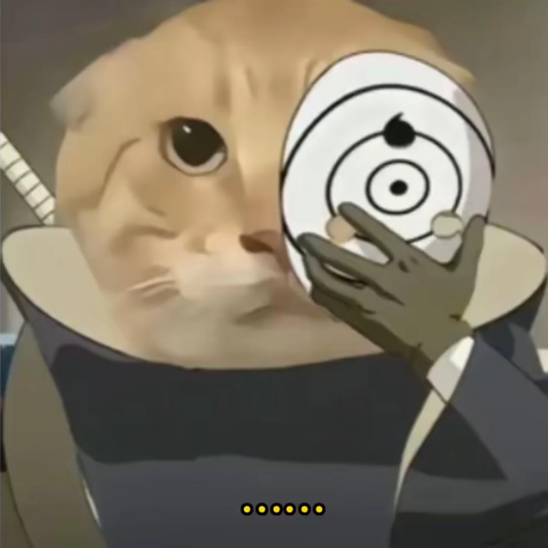 狗空