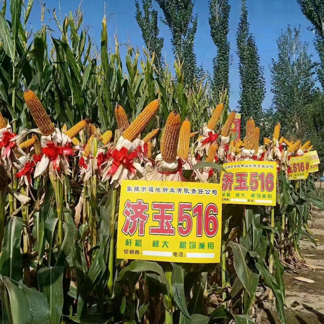 海纳百川（鑫禾农资）