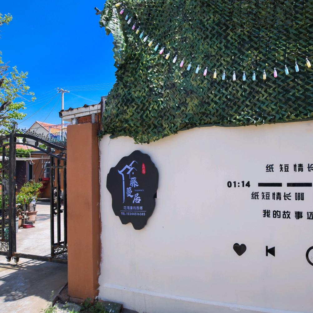 长岛藤蔓居民宿