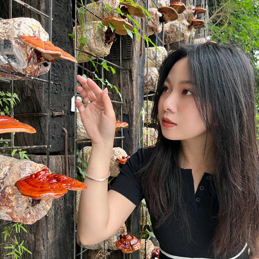 静静100养生茶方🌺