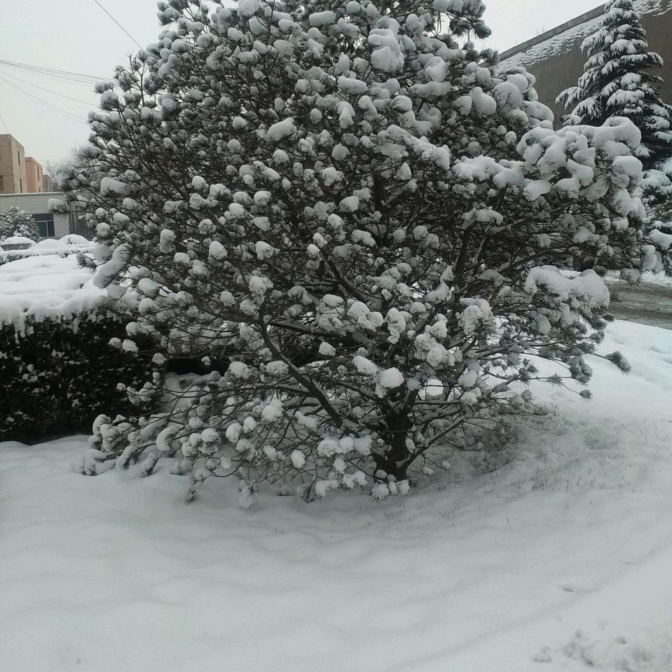拾年