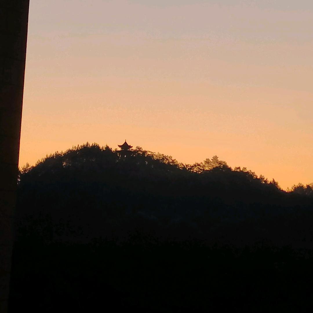 不想当观众