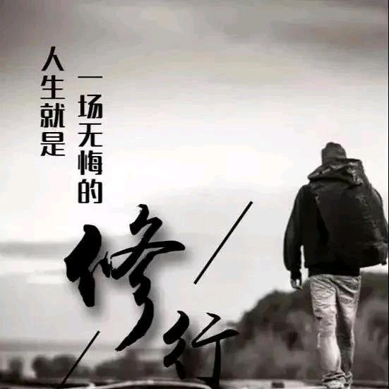 景观《易》树，賢哥
