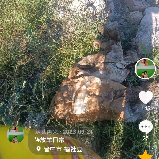 萱萱的话题