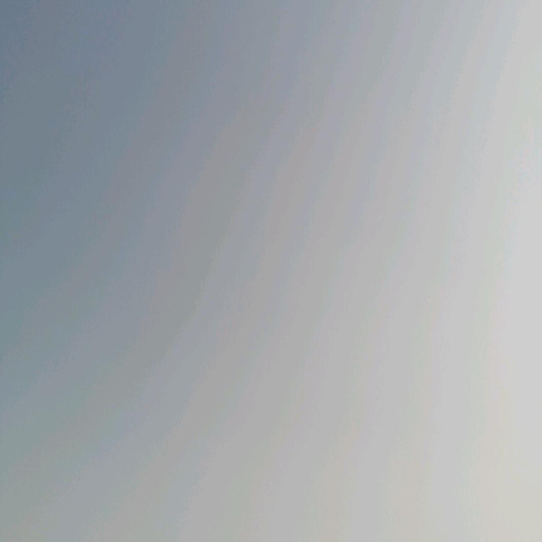 端正