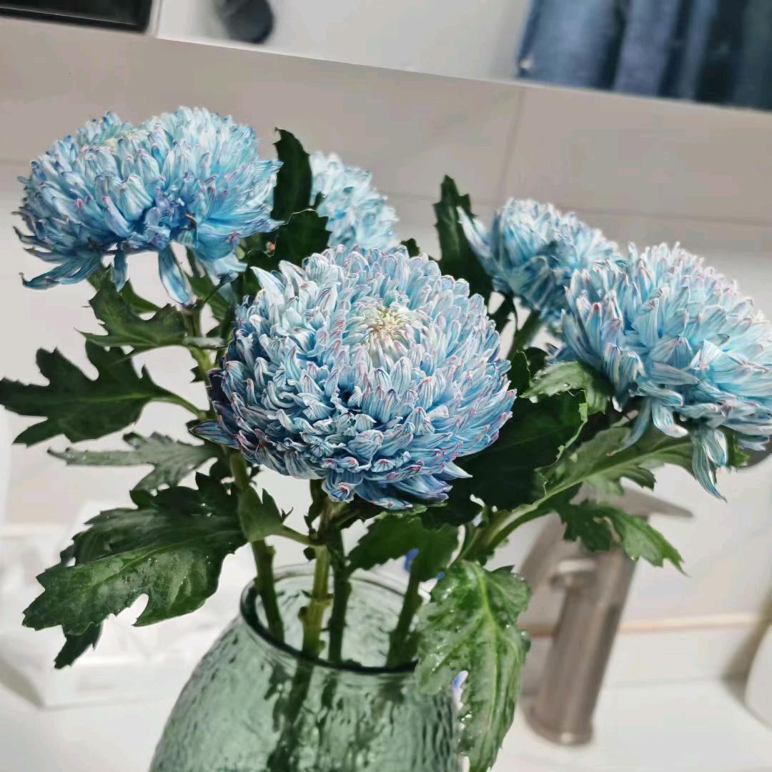 偷袈裟的家伙☁️