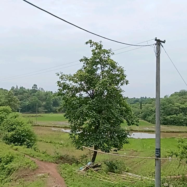 不是当年的哥了