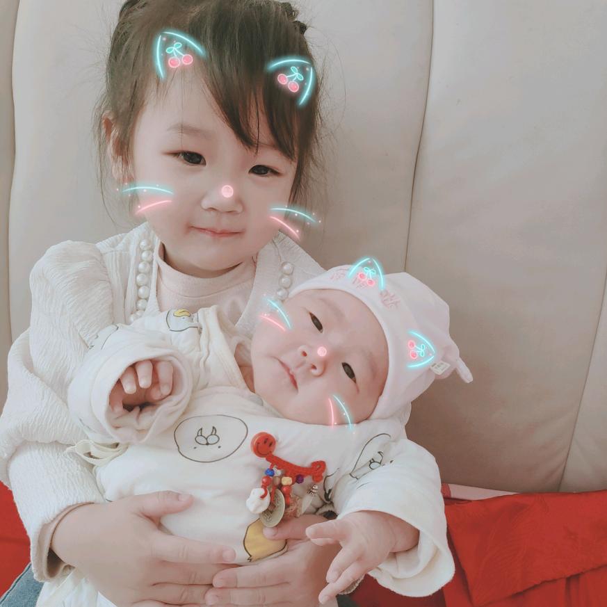 坚强の*雨中兰*