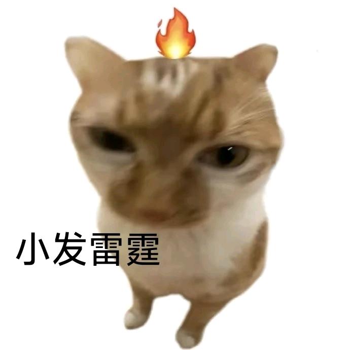 心碎小狗.