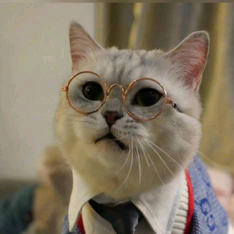 毛毛爱钓鱼🎣🎣