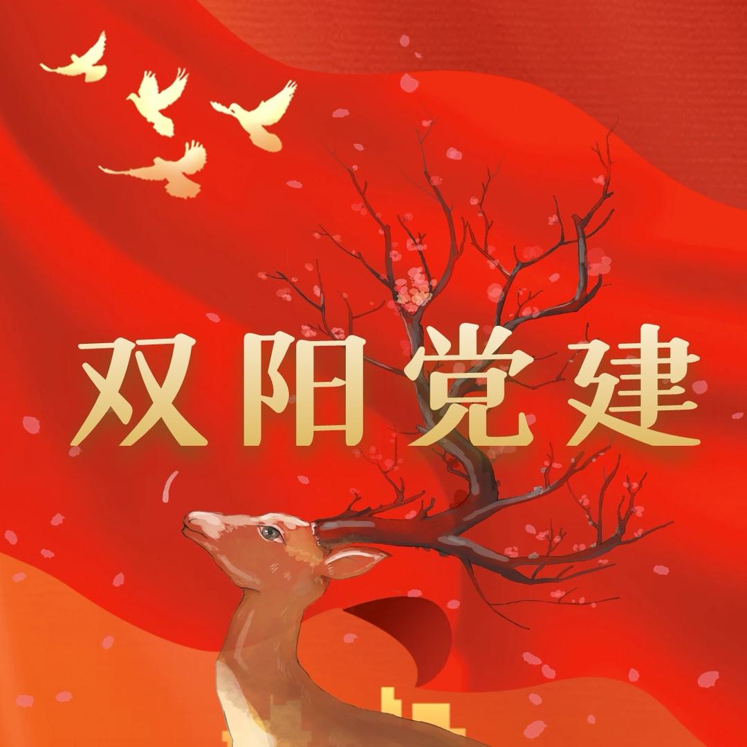 双阳党建