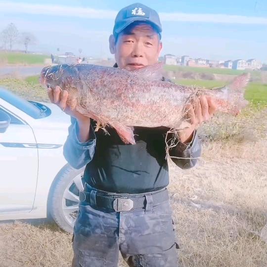 武者爱钓鱼