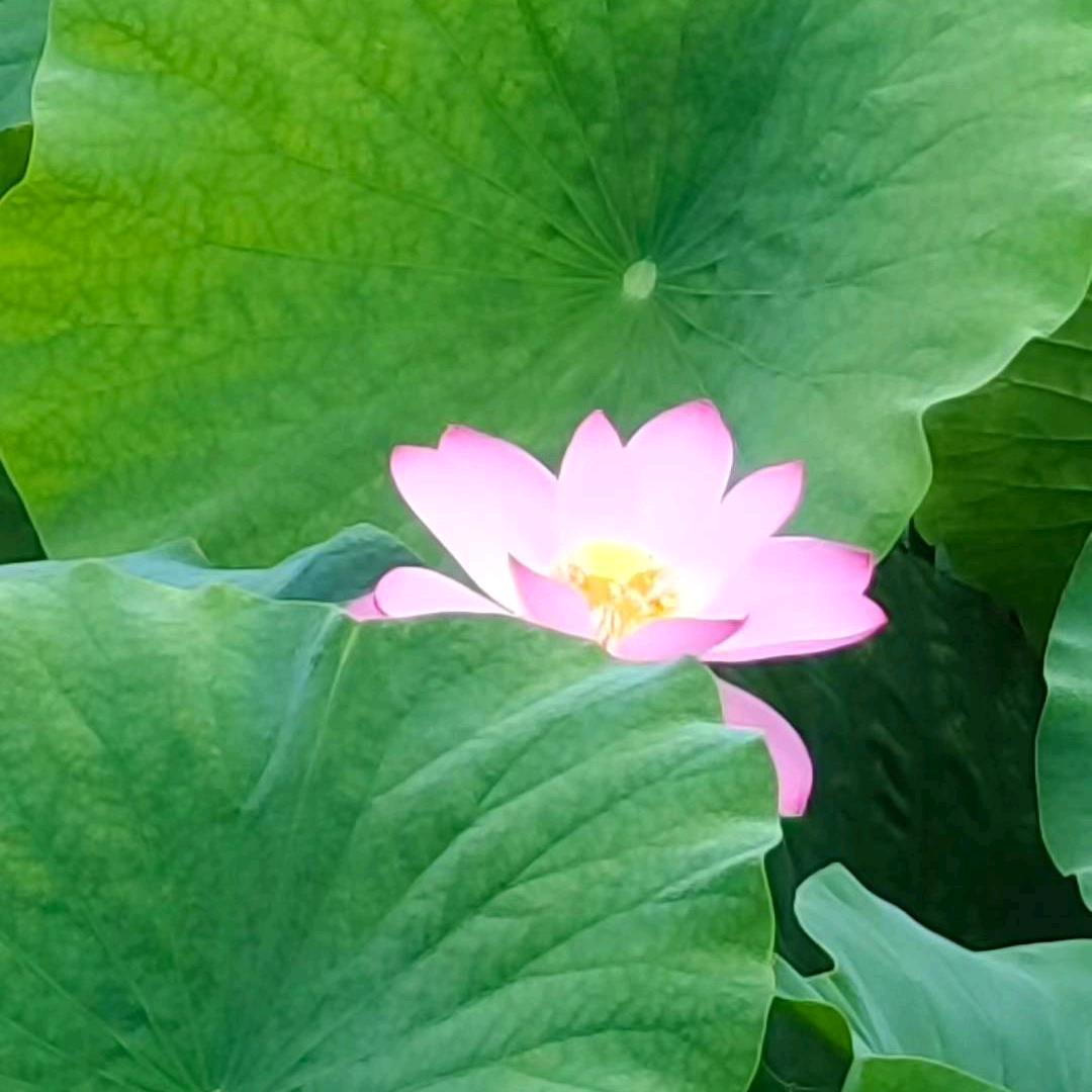 最美的遇见👗👗👗