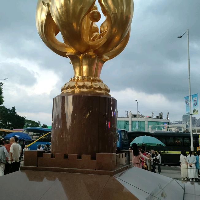杨杨得亿