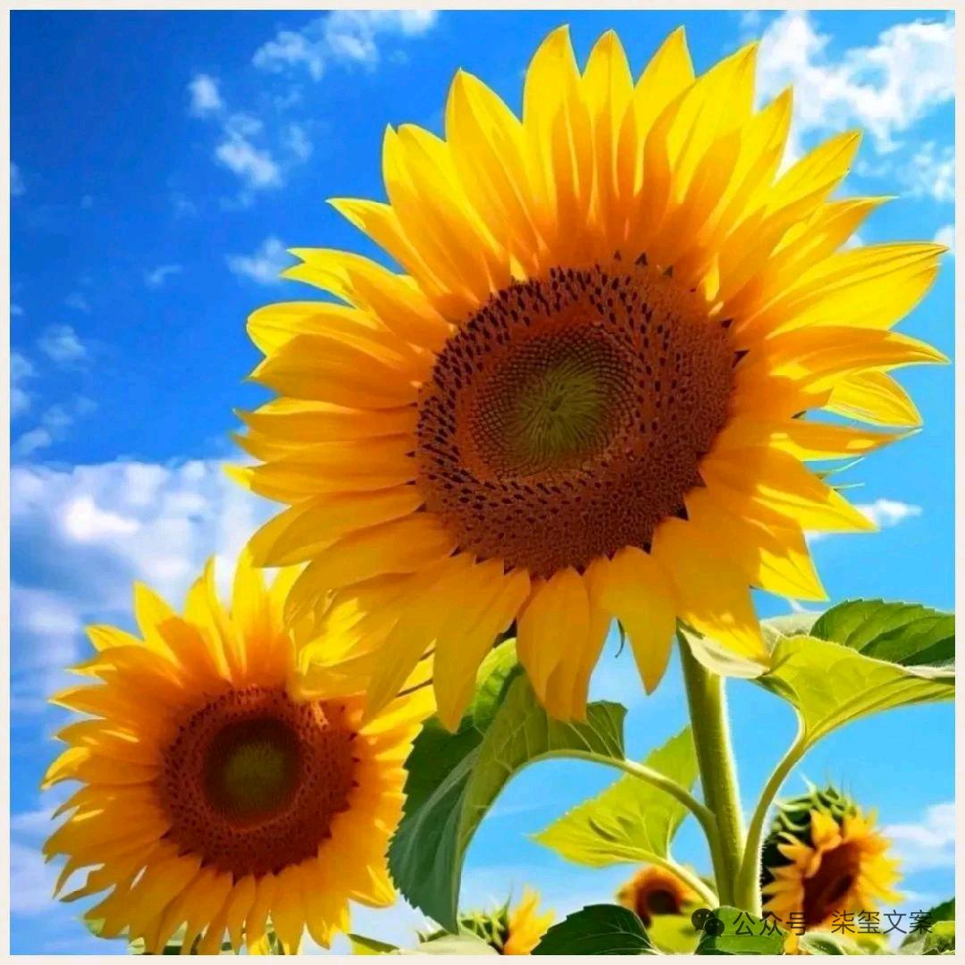 春暖花开