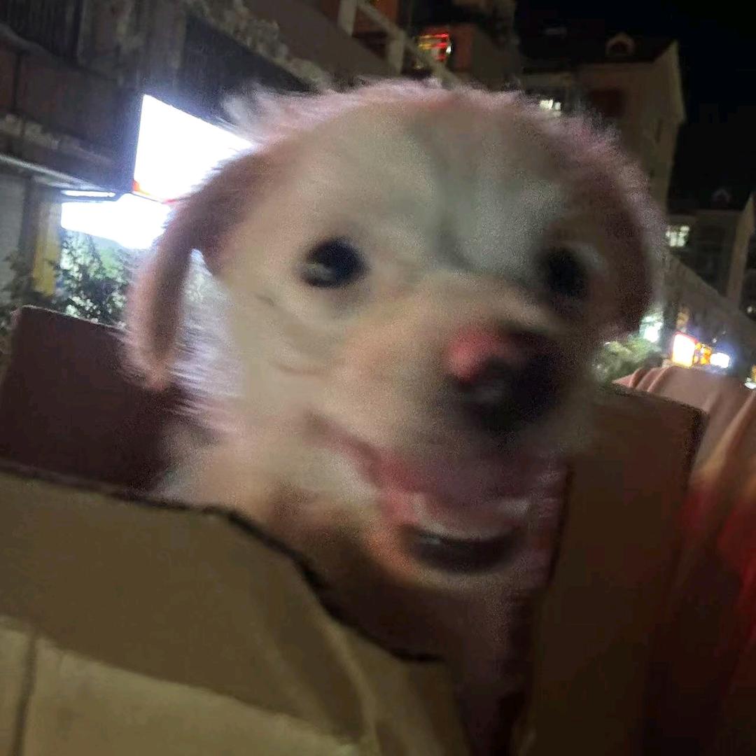 乐蓝好物精选