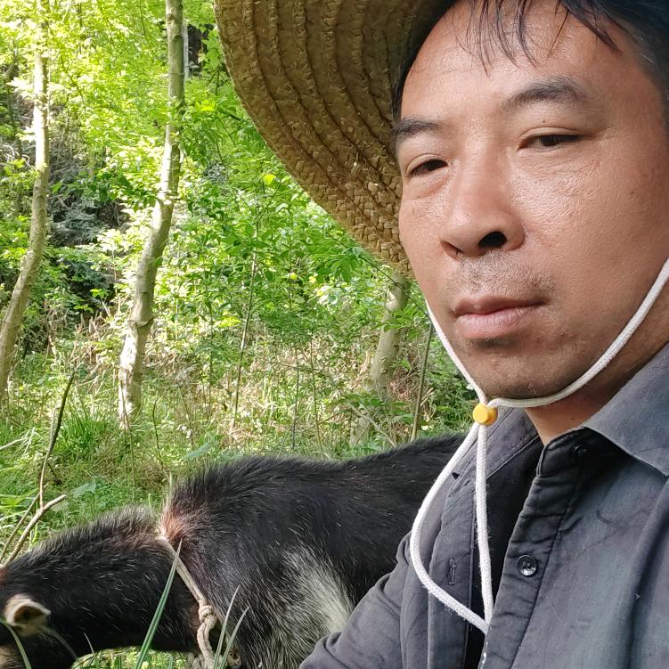老牛的山里生活