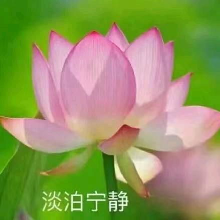 癌症晚期却死于狂犬病