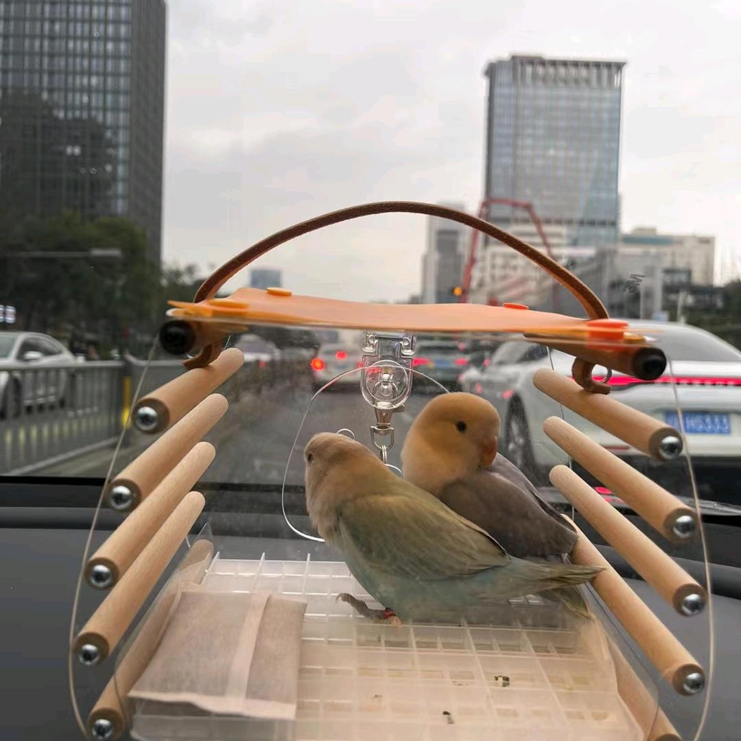 五哈