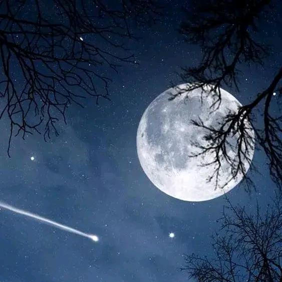 龘✨飍💫灥🌟𣊫