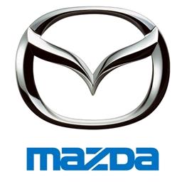 绵阳东子老唐汽车(MZD 4S专修老唐)