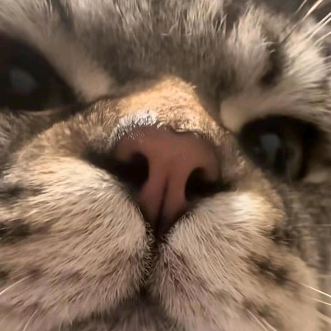浊