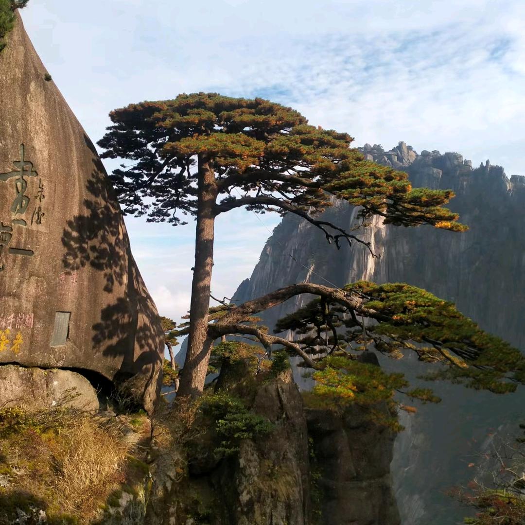 包头老黄搞鼻子