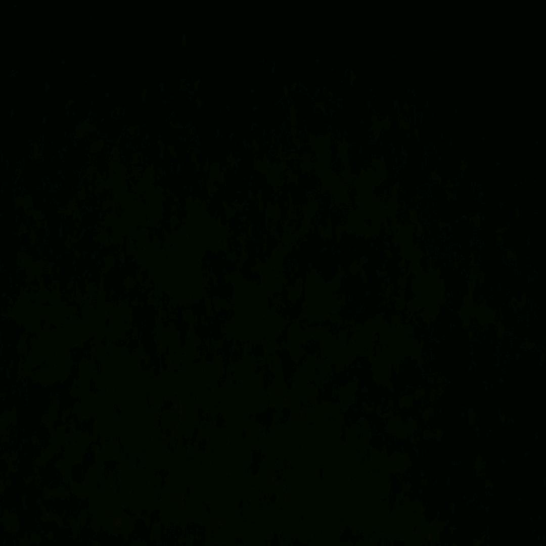0000