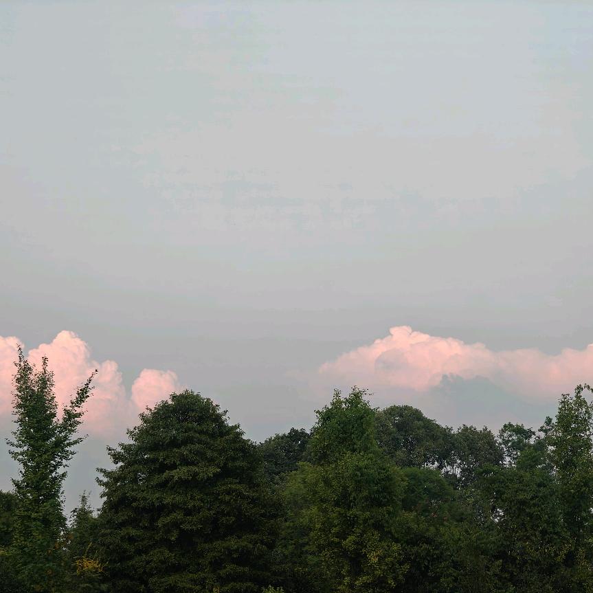 春风十里不如你