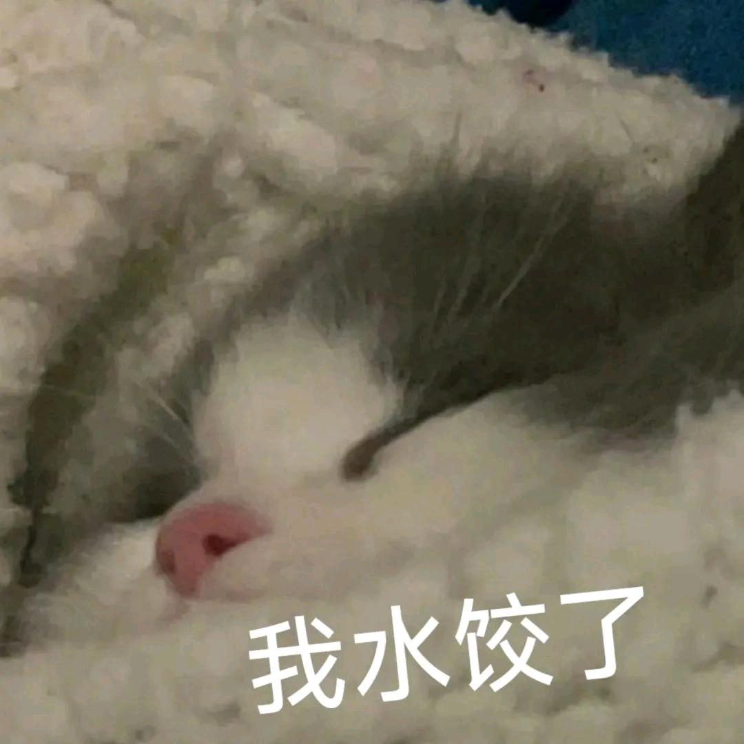 期年逢雪