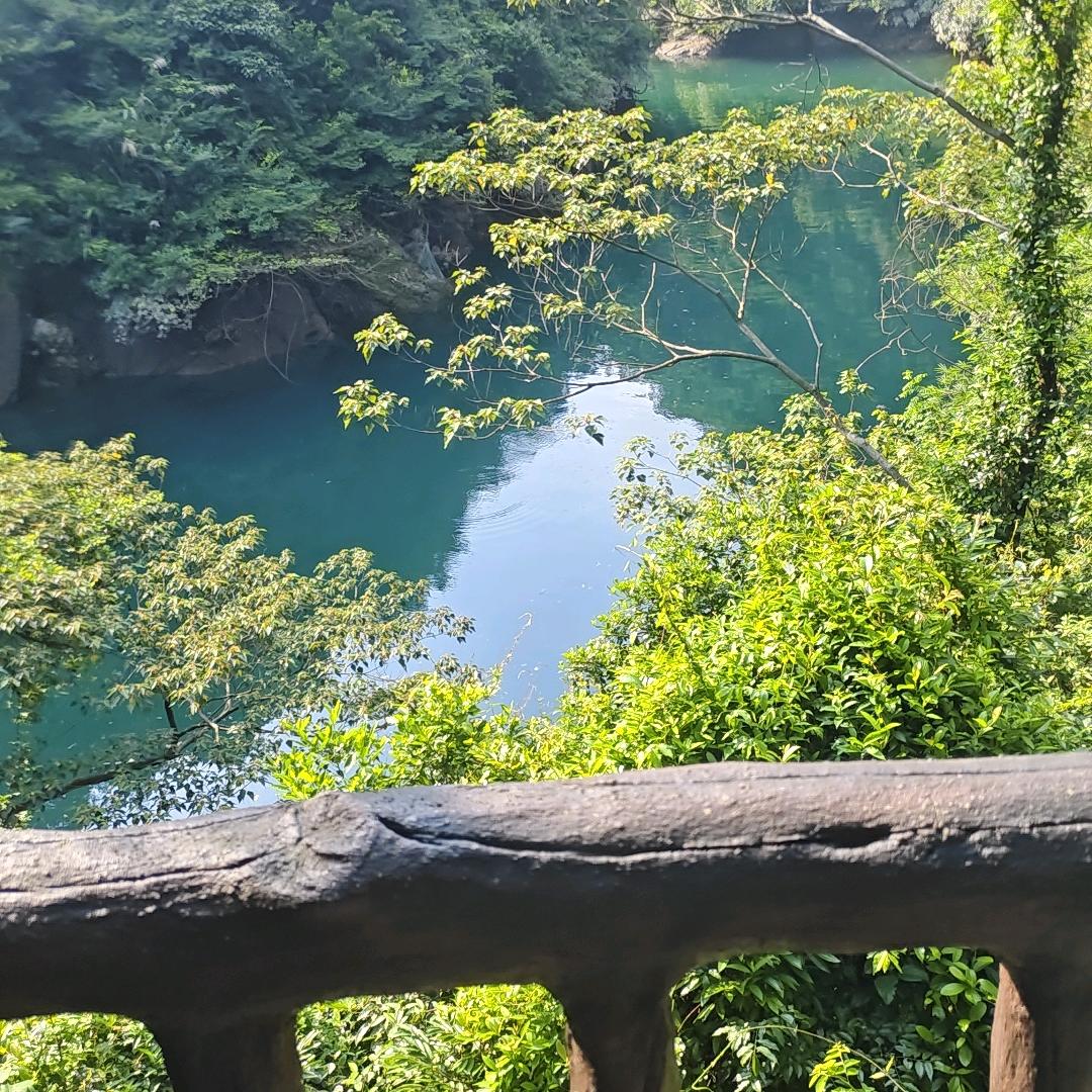 绿色湖