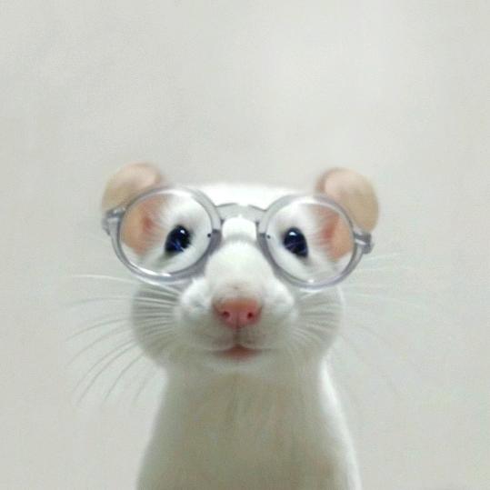 ..